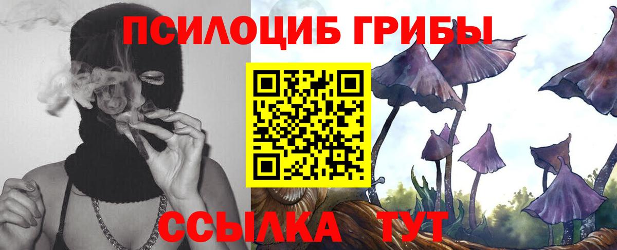 Галлюциногенные грибы прущие грибы Краснознаменск