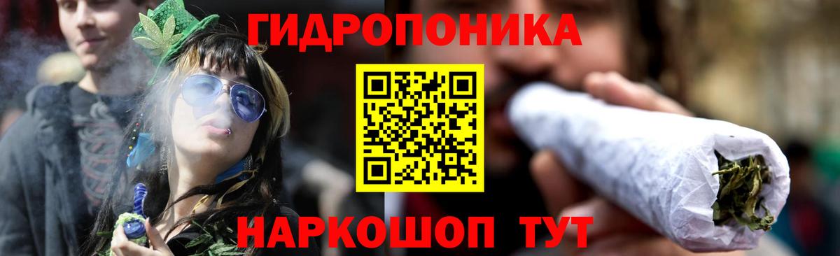 Шишки марихуана ГИДРОПОН  Канабис VHQ  Вход с VPN  Краснознаменск  Каннабис White Widow 